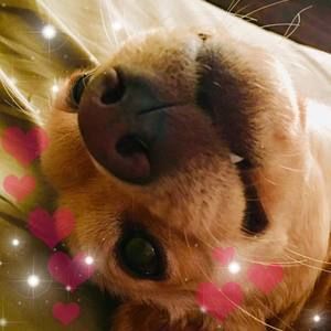 Meet your Posher, Eva